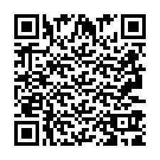 QR-Code für Telefonnummer +2693391919