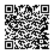 QR Code pour le numéro de téléphone +2693422379