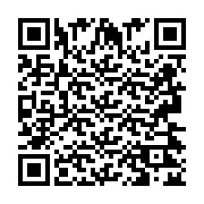 QR Code pour le numéro de téléphone +2693422402