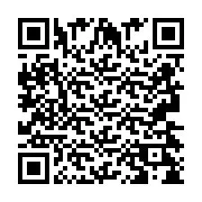 Codice QR per il numero di telefono +2693428413