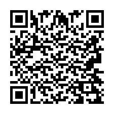 QR Code pour le numéro de téléphone +2693429167