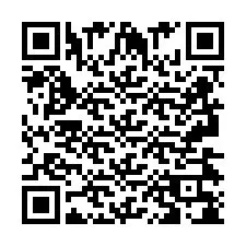 QR код за телефонен номер +2693438004