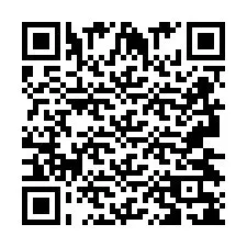 QR kód a telefonszámhoz +2693438133