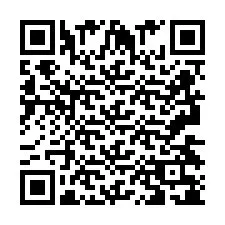 QR-code voor telefoonnummer +2693438161