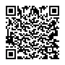 QR Code pour le numéro de téléphone +2693438167