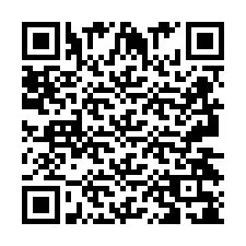 QR Code pour le numéro de téléphone +2693438178