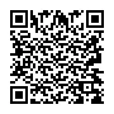 QR-Code für Telefonnummer +2693438628