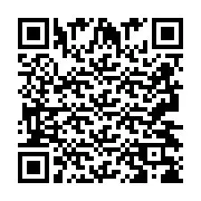 QR Code pour le numéro de téléphone +2693438639