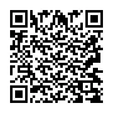 QR-code voor telefoonnummer +2693438731