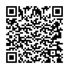 QR Code pour le numéro de téléphone +2693438808