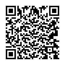 Codice QR per il numero di telefono +2693438813