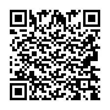 QR код за телефонен номер +2693438817