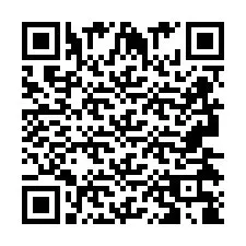 QR код за телефонен номер +2693438887