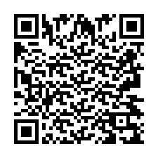 QR Code pour le numéro de téléphone +2693439128