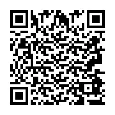 QR Code pour le numéro de téléphone +2693487395