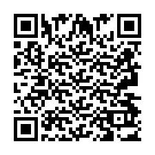 QR Code pour le numéro de téléphone +2693493038