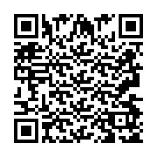 QR Code pour le numéro de téléphone +2693495131