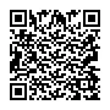 QR Code pour le numéro de téléphone +2693495169