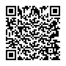 QR Code pour le numéro de téléphone +2693495258