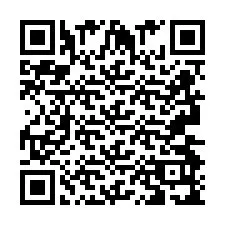 QR-Code für Telefonnummer +2693499133