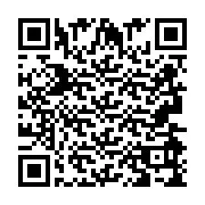 QR Code pour le numéro de téléphone +2693499587