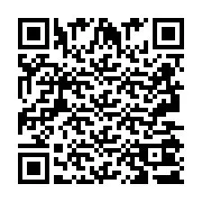 Codice QR per il numero di telefono +2693501388