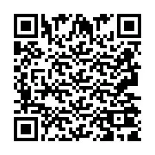 Codice QR per il numero di telefono +2693501999