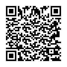 QR Code pour le numéro de téléphone +2693502302