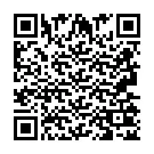 電話番号のQRコード +2693502553