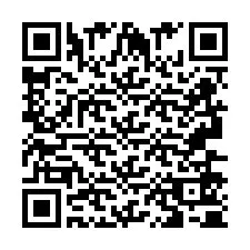 QR Code pour le numéro de téléphone +2693650593