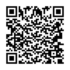 Codice QR per il numero di telefono +2693650873