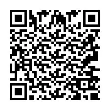 Codice QR per il numero di telefono +2693650939