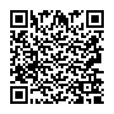 Codice QR per il numero di telefono +2693650959