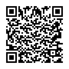 Codice QR per il numero di telefono +2693651009