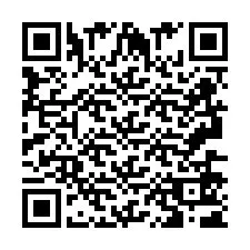 QR Code pour le numéro de téléphone +2693651691