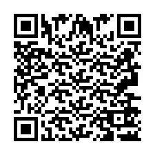 QR Code pour le numéro de téléphone +2693652399