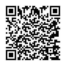 QR-Code für Telefonnummer +2693655384