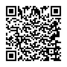 QR-код для номера телефона +2693656713