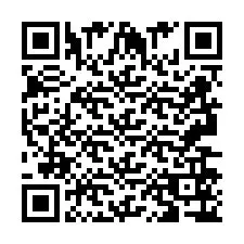 QR-код для номера телефона +2693656759