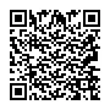 QR-код для номера телефона +2693656869