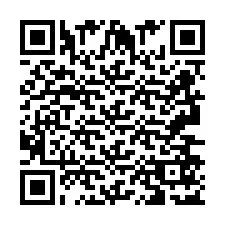 QR Code pour le numéro de téléphone +2693657169