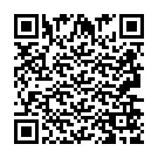 QR-код для номера телефона +2693657959