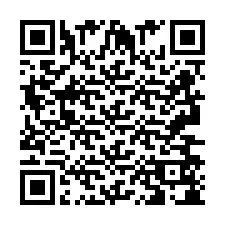 QR-код для номера телефона +2693658029