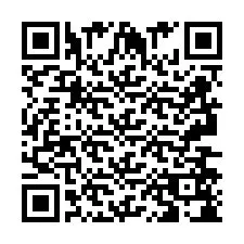 QR-Code für Telefonnummer +2693658068