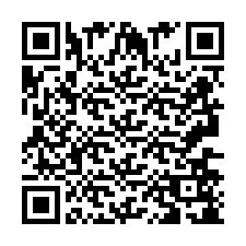 电话号码二维码 +2693658171