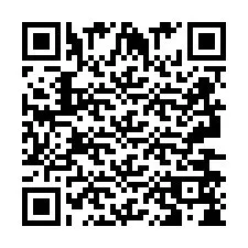 QR-Code für Telefonnummer +2693658438