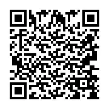 QR-Code für Telefonnummer +2693658463