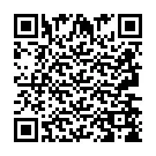 QR Code pour le numéro de téléphone +2693658668