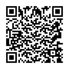 QR Code pour le numéro de téléphone +2693658841