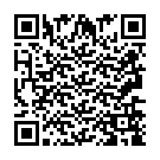 QR Code pour le numéro de téléphone +2693658951